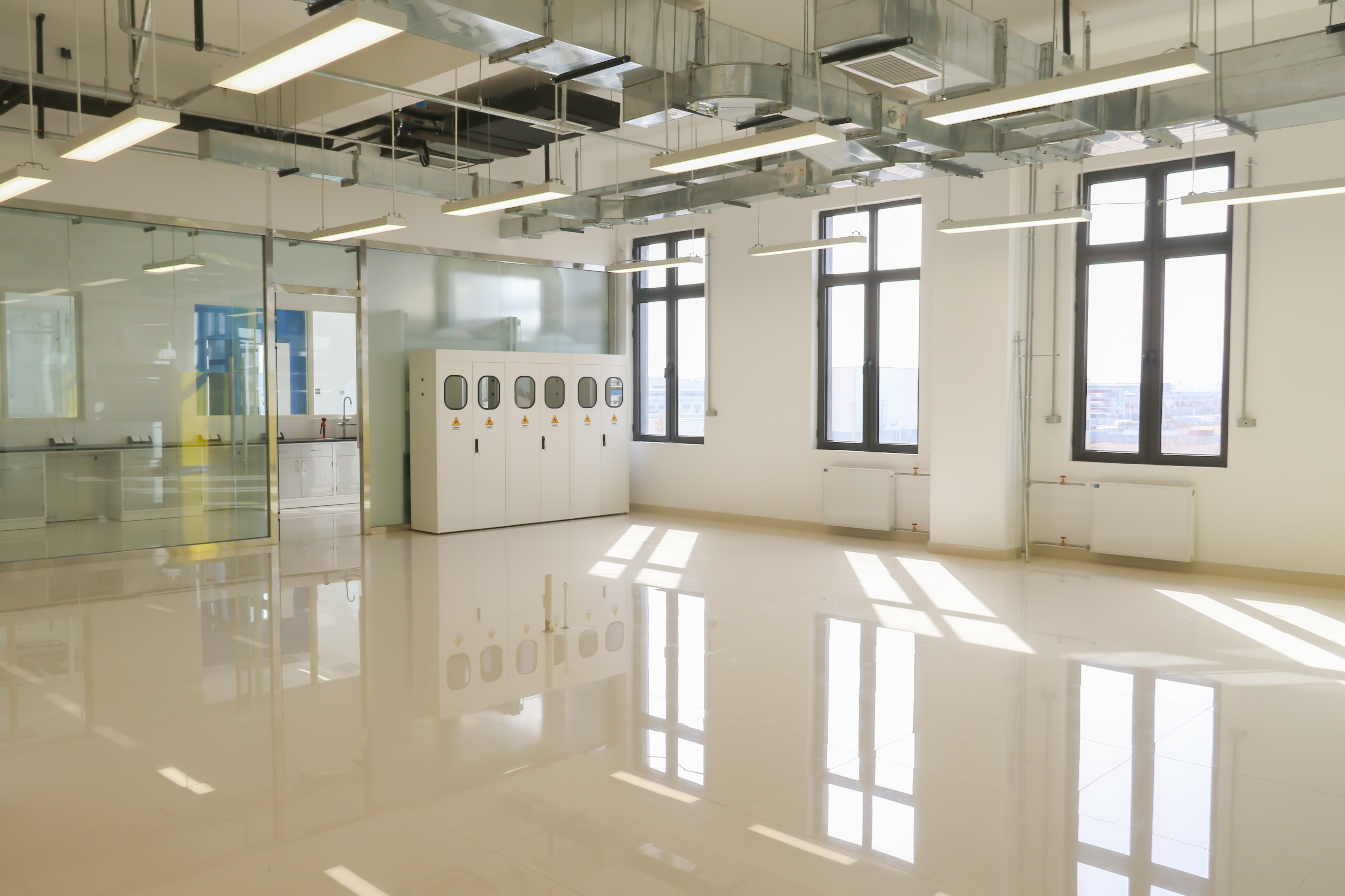 최신 회사 사례 베이징 프로세스 연구소 실험실 가구 실험실 환기 캐비닛